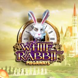 White Rabbit